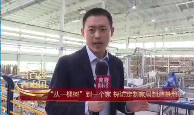 央視財經(jīng)，尋百強看中國|“從一棵樹”到一個家，探訪定制家居制造基地